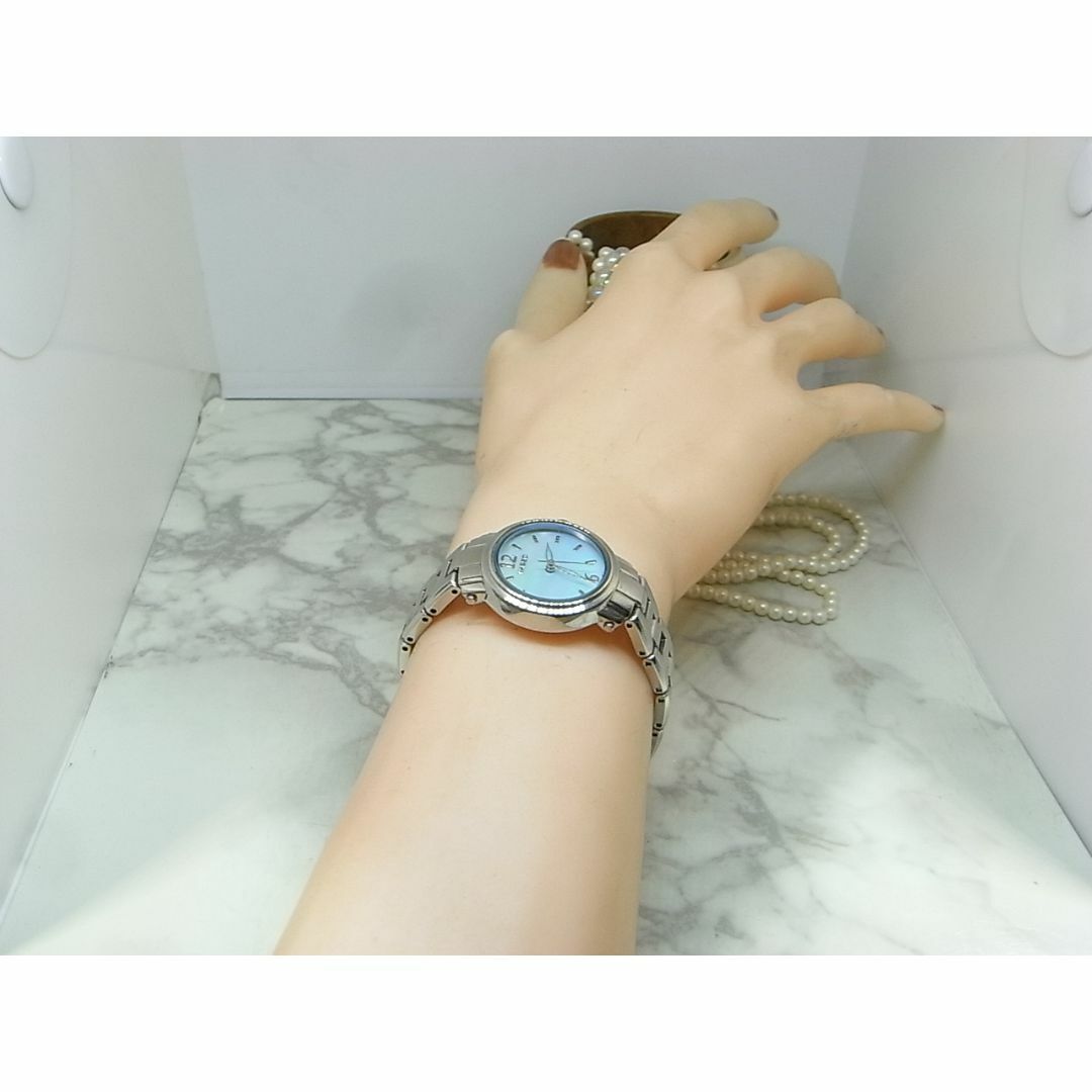 SEIKO - セイコー SEIKO WIRED ブルーシェル レディース SEIKO - セイコー SEIKO WIRED ブルーシェル レディース
