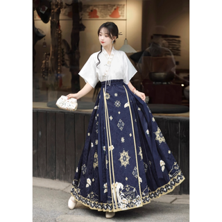 宝相花 馬面裙 新中式 改良 日常 中華漢服 2点セット　H11＃(その他ドレス)