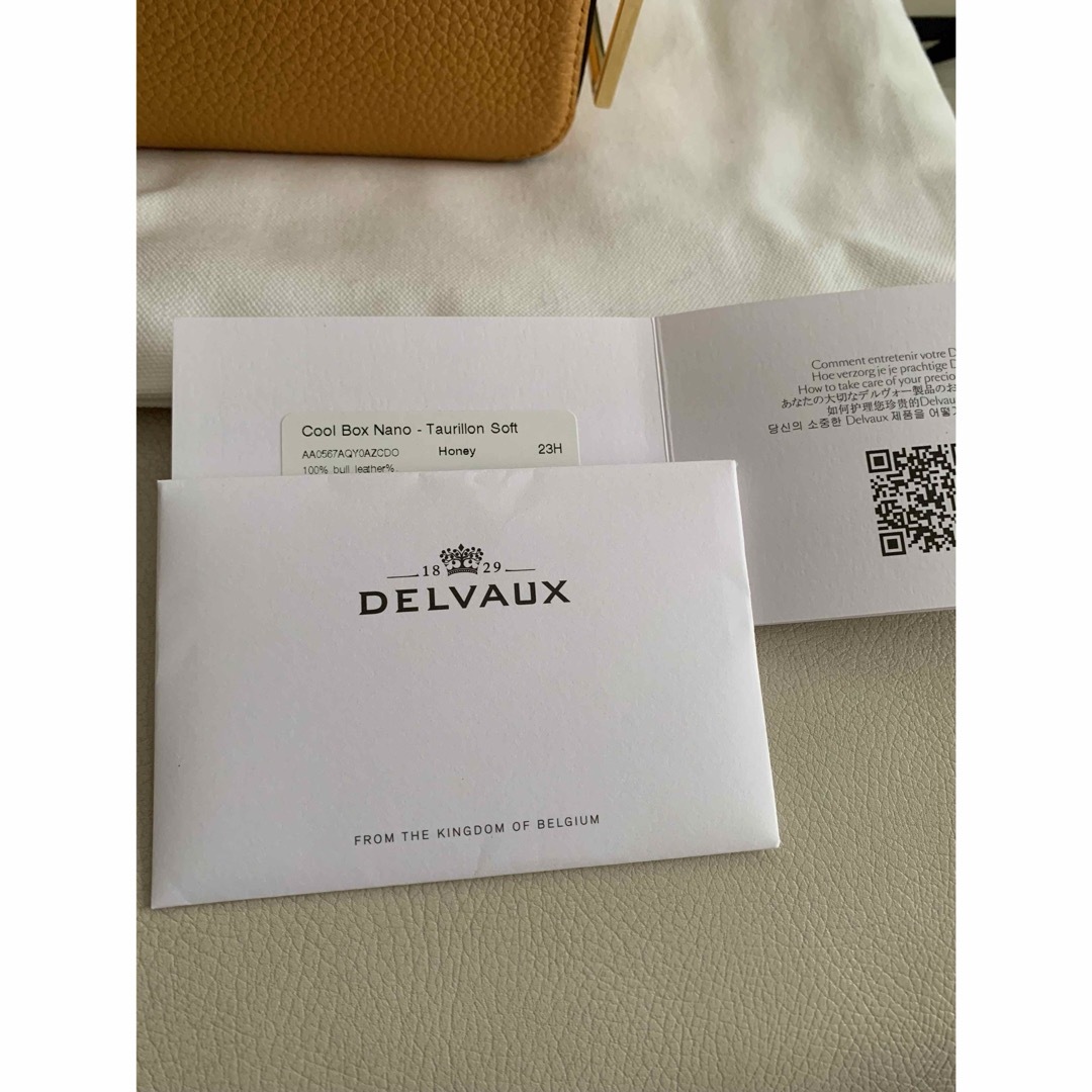 DELVAUX - 新品箱付き デルヴォー DELVAUX クールボックスナノ DELVAUX - 新品箱付き デルヴォー DELVAUX クールボックスナノ