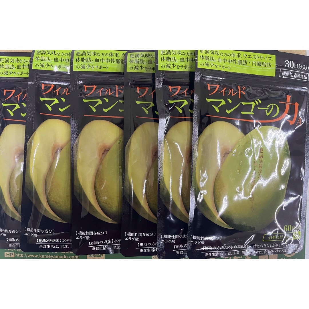 スレンディスタイル　スープタイプ　IVYアイビー化粧品 スレンディスタイル スープタイプ IVYアイビー化粧品