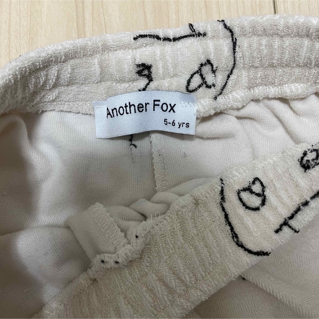 Another fox セットアップ Another fox セットアップ