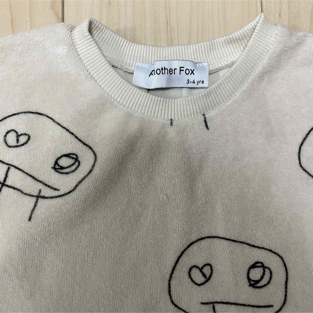 Another fox セットアップ Another fox セットアップ