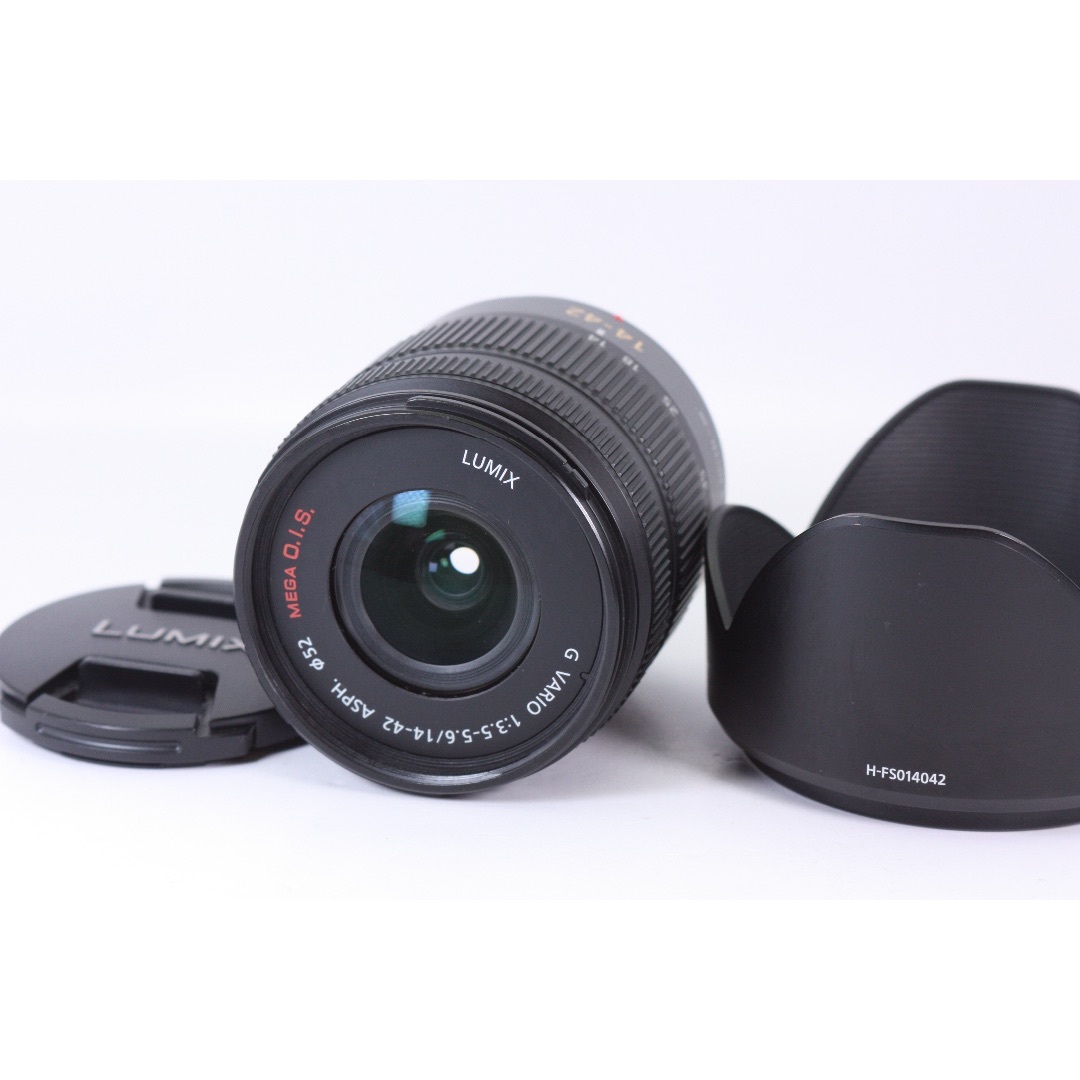 PANASONIC G VARIO 14-42mm F3.5-5.6 #2