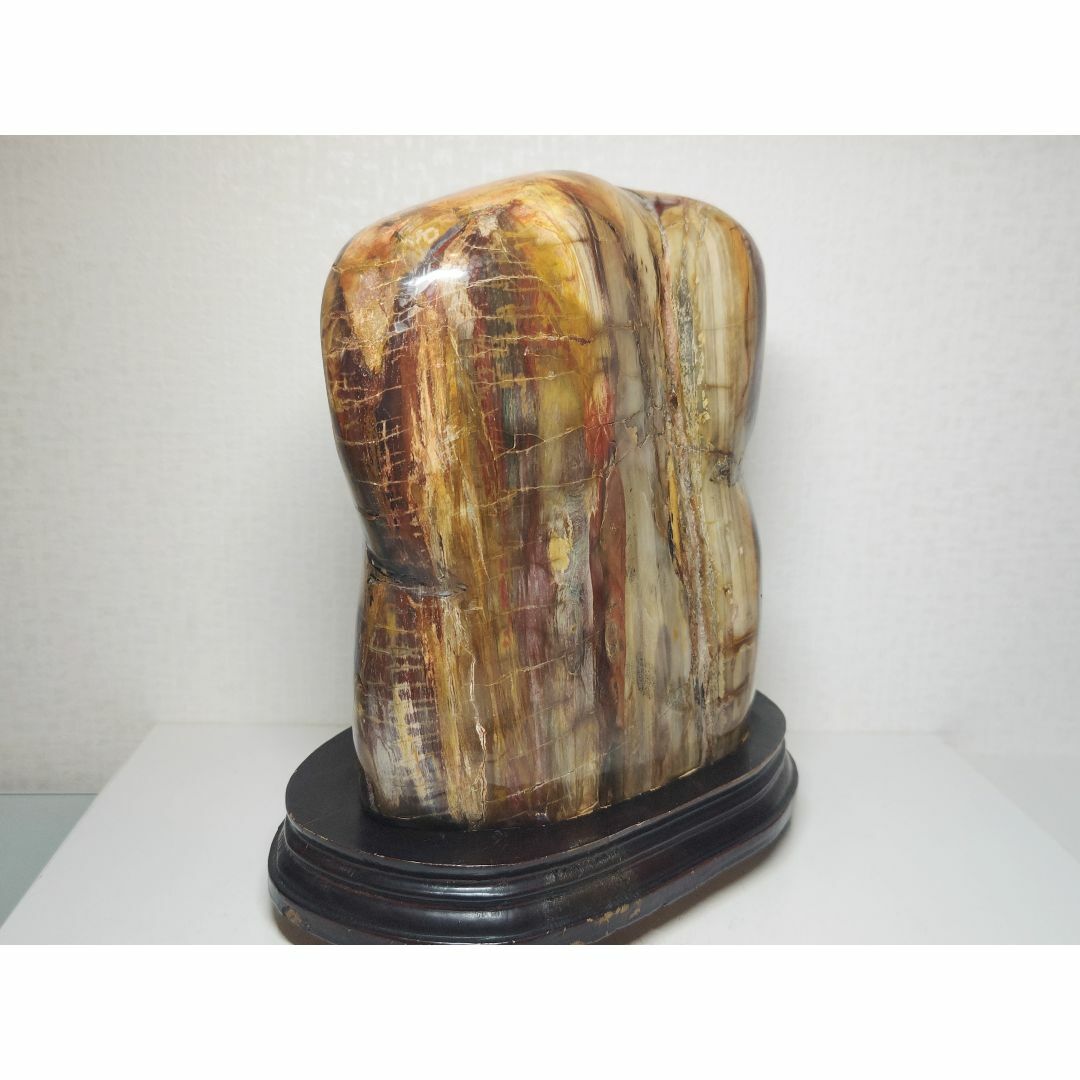 珪化木 8.4kg ジャスパー 碧玉 原石 鑑賞石 自然石 水石 誕生石 鉱物