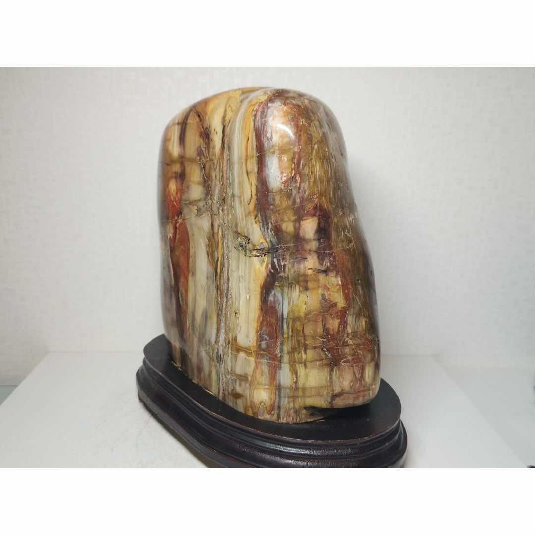 珪化木 8.4kg ジャスパー 碧玉 原石 鑑賞石 自然石 水石 誕生石 鉱物