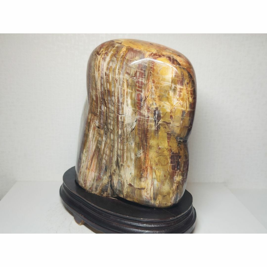 珪化木 8.4kg ジャスパー 碧玉 原石 鑑賞石 自然石 水石 誕生石 鉱物
