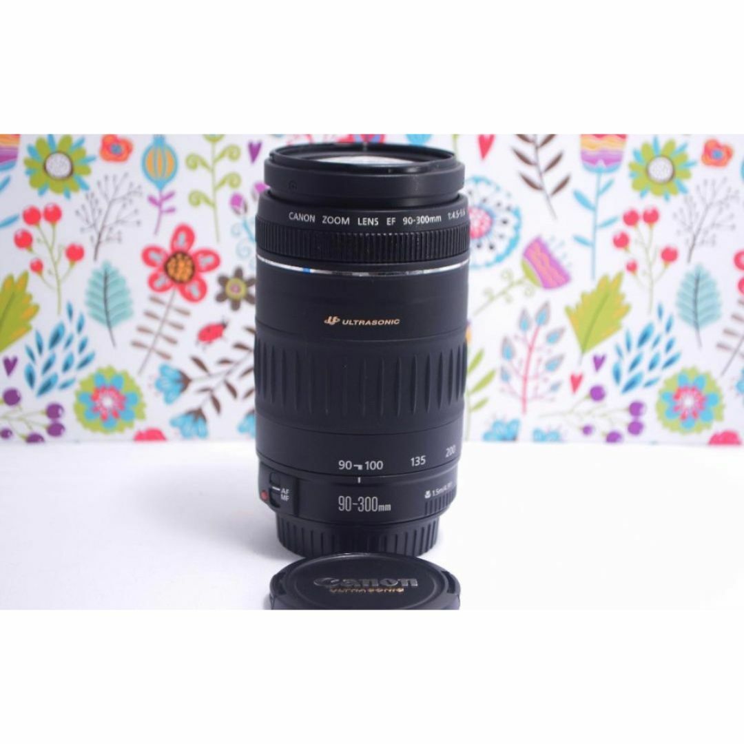 ☆新品級☆一眼用 超迫力望遠レンズ キヤノン EF90-300mm Canon ☆新品級☆一眼用 超迫力望遠レンズ キヤノン EF90-300mm Canon