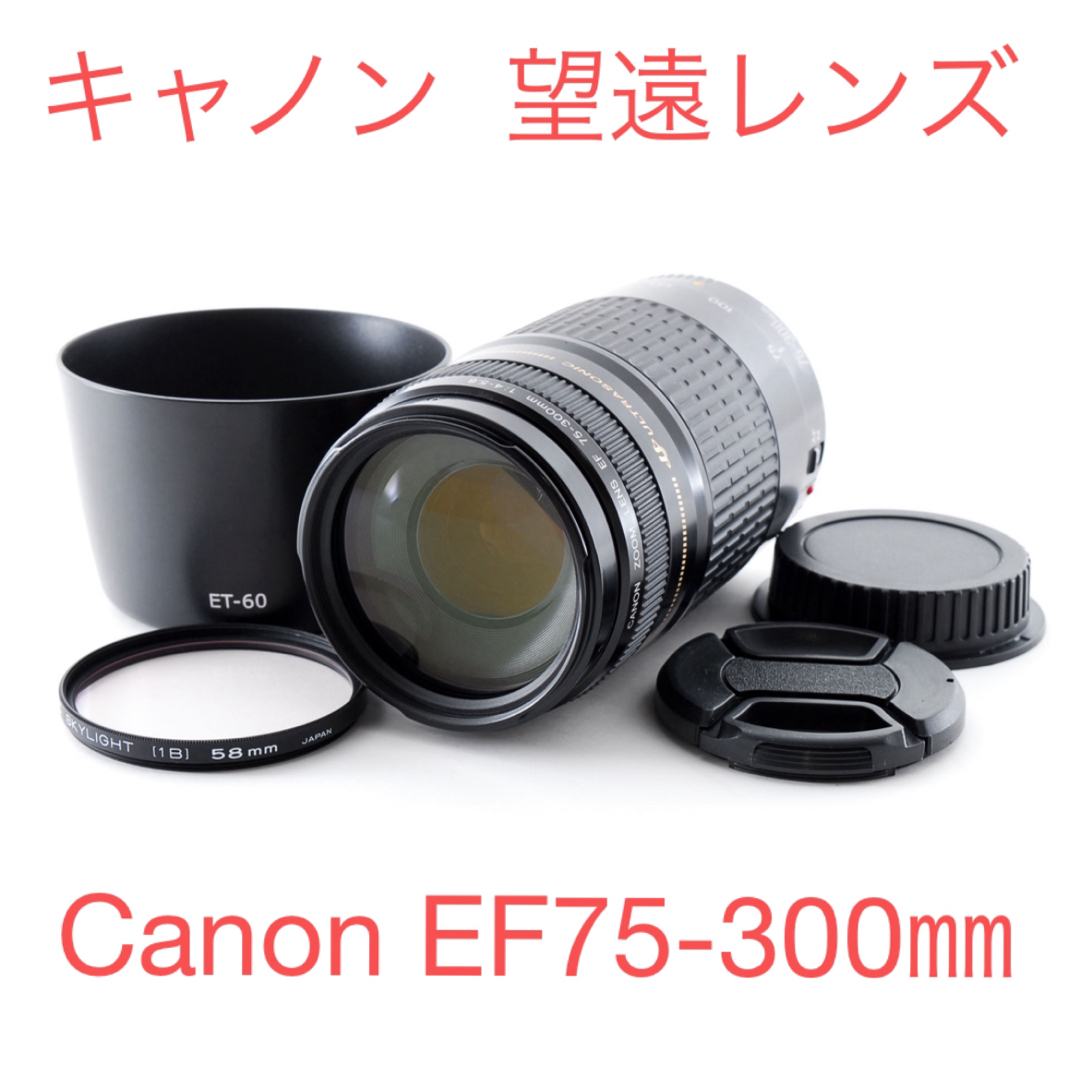 スポーツ&イベント/キャノン望遠レンズCanon EF75-300㎜ スポーツ&イベント/キャノン望遠レンズCanon EF75-300㎜