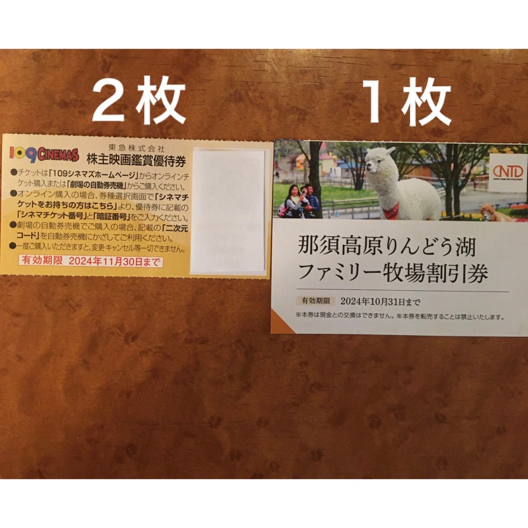 東急109シネマズ 映画鑑賞優待券2枚&りんどう湖ファミリー牧場割引券1枚 チケットの映画(その他)の商品写真