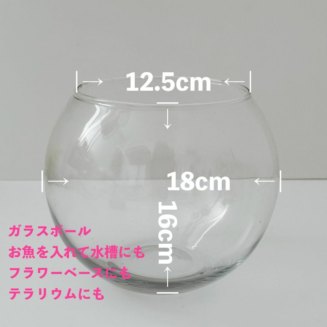 ガラス水槽 金魚鉢 アクアリウム テラリウム 丸形水槽 丸かっ ガラス水槽 金魚鉢 アクアリウム テラリウム 丸形水槽 丸かっ