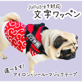 ユリウスk9 キロナイナー 刺しゅうワッペン ネームタグ ネームラベル(リード/首輪)