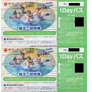 2枚:東京サマーランド 1Dayパス2枚セット(遊園地/テーマパーク)