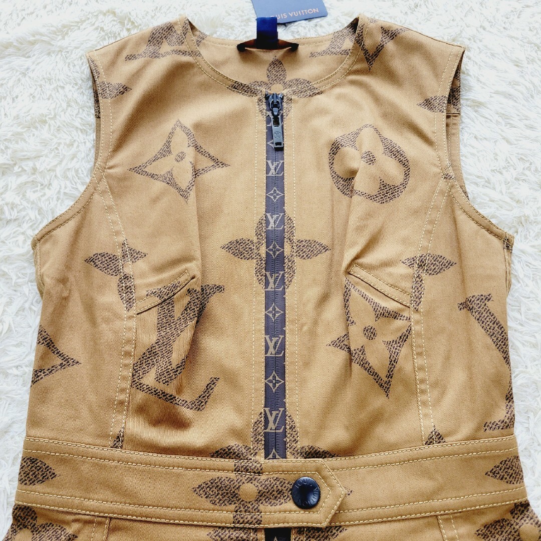 LOUIS VUITTON - 【希少☆未使用タグ付き】ルイヴィトン LOUIS VUITTON - 【希少☆未使用タグ付き】ルイヴィトン