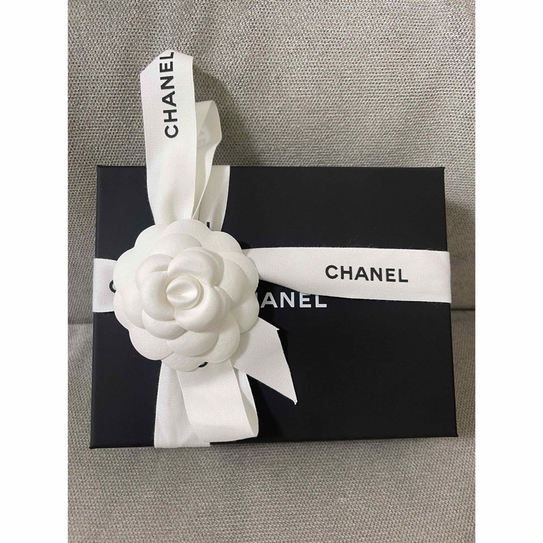 CHANEL - 新品未使用 シャネル 星型 ポーチ シルバー コイン CHANEL - 新品未使用 シャネル 星型 ポーチ シルバー コイン