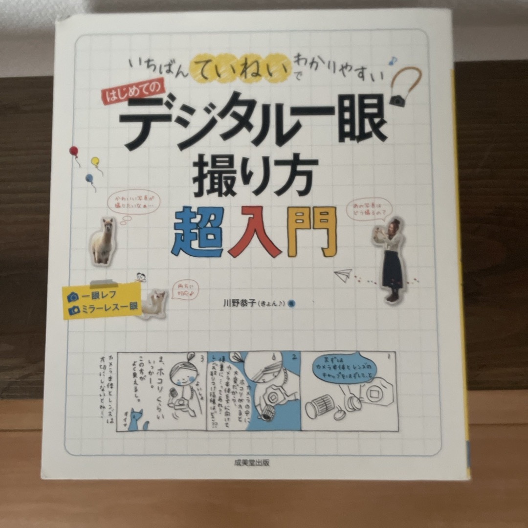 はじめてのデジタル一眼撮り方超入門 エンタメ/ホビーの本(趣味/スポーツ/実用)の商品写真
