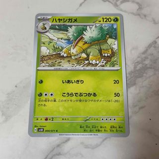 ポケモンカード ハヤシガメ(シングルカード)