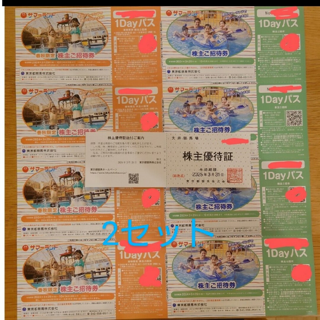 東京サマーランド招待券二種 計8枚✕2セット 東京サマーランド招待券二種 計8枚✕2セット