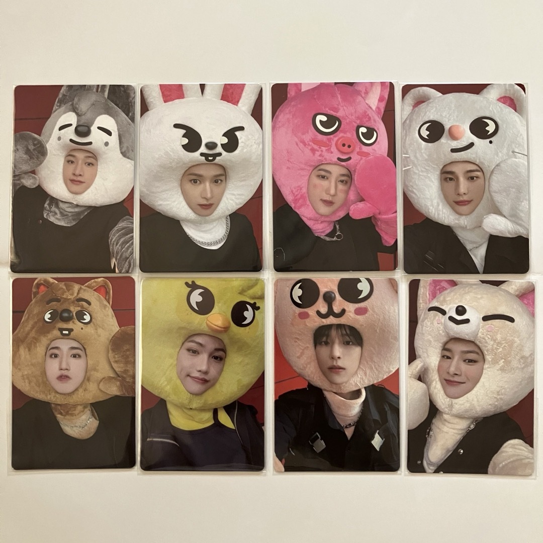 StrayKids MAXIDENT JYP SHOP 特典トレカ 8枚コンプ StrayKids MAXIDENT JYP SHOP 特典トレカ 8枚コンプ