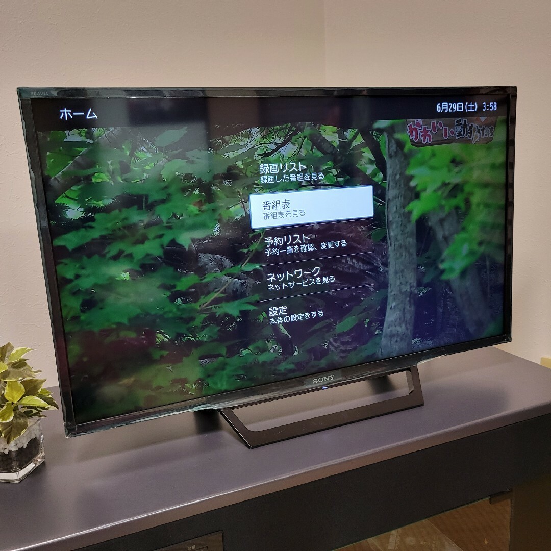 SONY - YouTube/Netflix/オシャレモデル☆BRAVIA 32型液晶 SONY - YouTube/Netflix/オシャレモデル☆BRAVIA 32型液晶