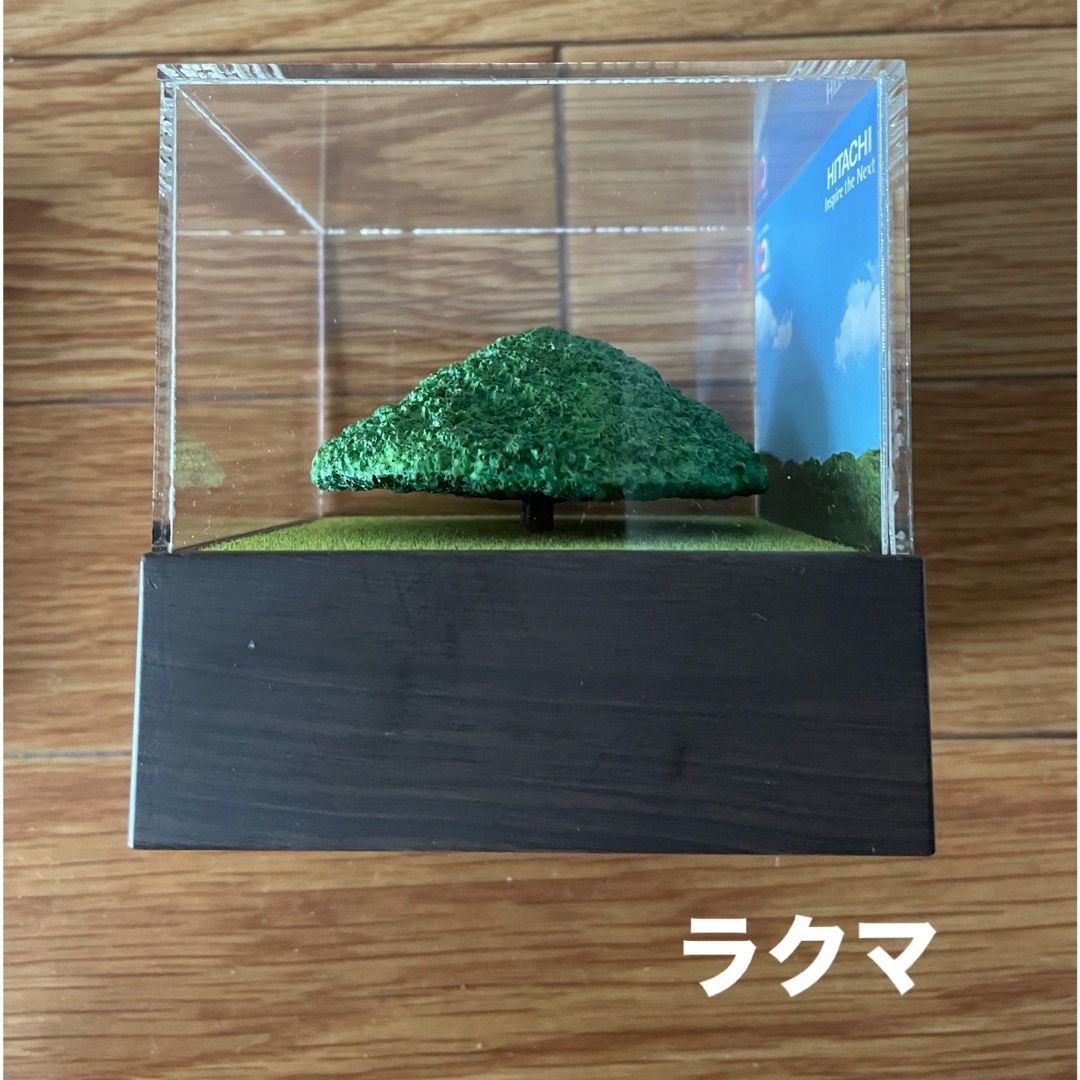 新品 オルゴール 2010年 日立創業100周年記念 この木なんの木 新品 オルゴール 2010年 日立創業100周年記念 この木なんの木