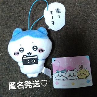 ちいかわ　セリフ付きマスコット♡(キャラクターグッズ)