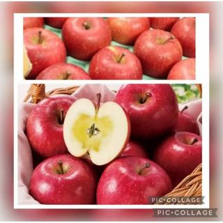★訳あり秀品★☆青森産ふじ林檎大量８〜１０玉入箱☆ふじりんごフジリンゴ☆(フルーツ)