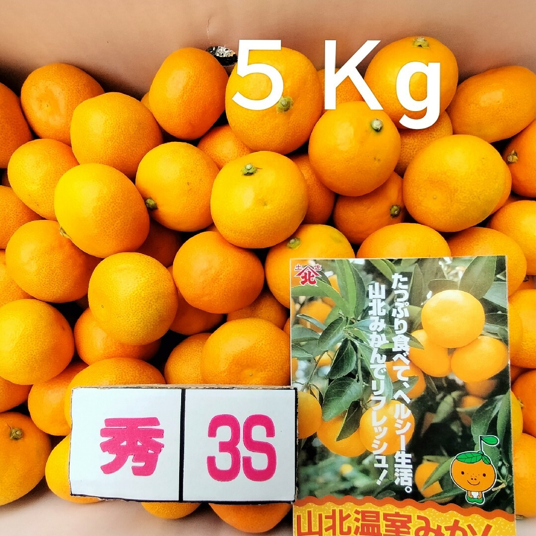 ☆高知産☆約5Kg☆ 山北みかん 2Sサイズ 極早生 ☆高知産☆約5Kg☆ 山北みかん 2Sサイズ 極早生