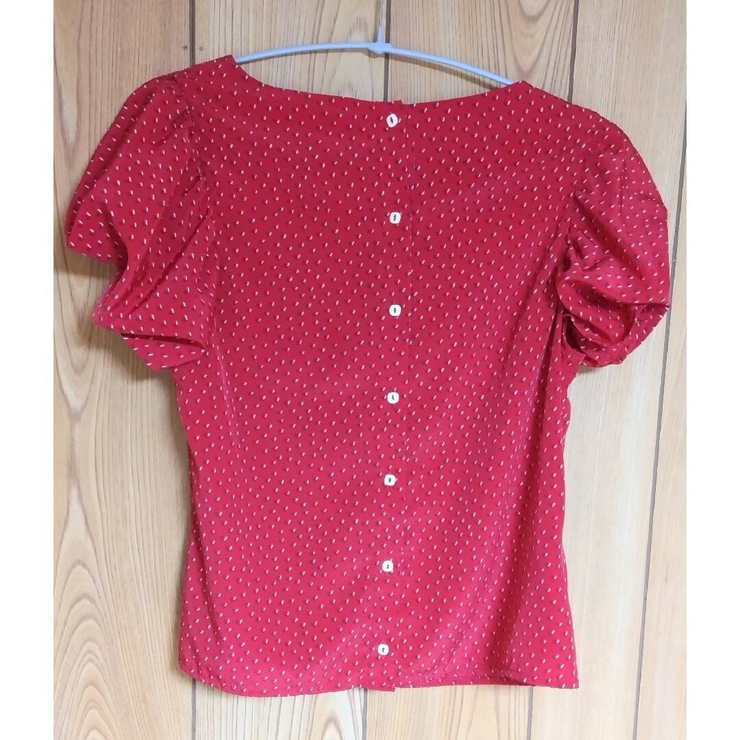 Lily Brown(リリーブラウン)の美品❣ Lilly Brown 半袖ブラウス レディースのトップス(シャツ/ブラウス(半袖/袖なし))の商品写真