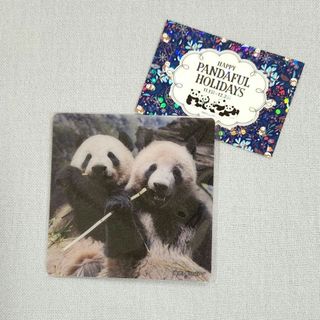 シャオシャオ　レイレイ　コースター　上野松坂屋　非売品　おまけつき(ノベルティグッズ)