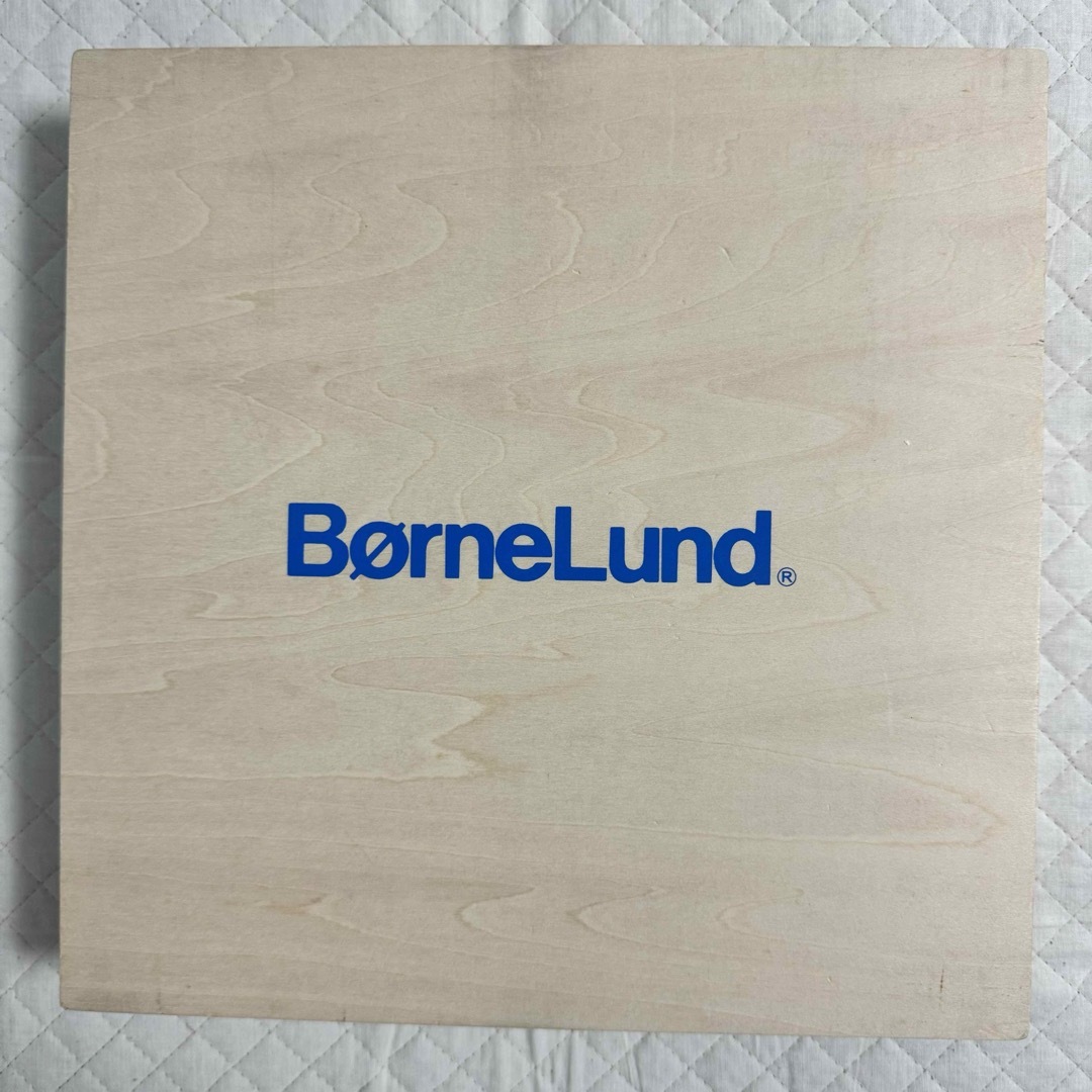 BorneLund(ボーネルンド)のボーネルンド 積み木 白木 S キッズ/ベビー/マタニティのおもちゃ(積み木/ブロック)の商品写真