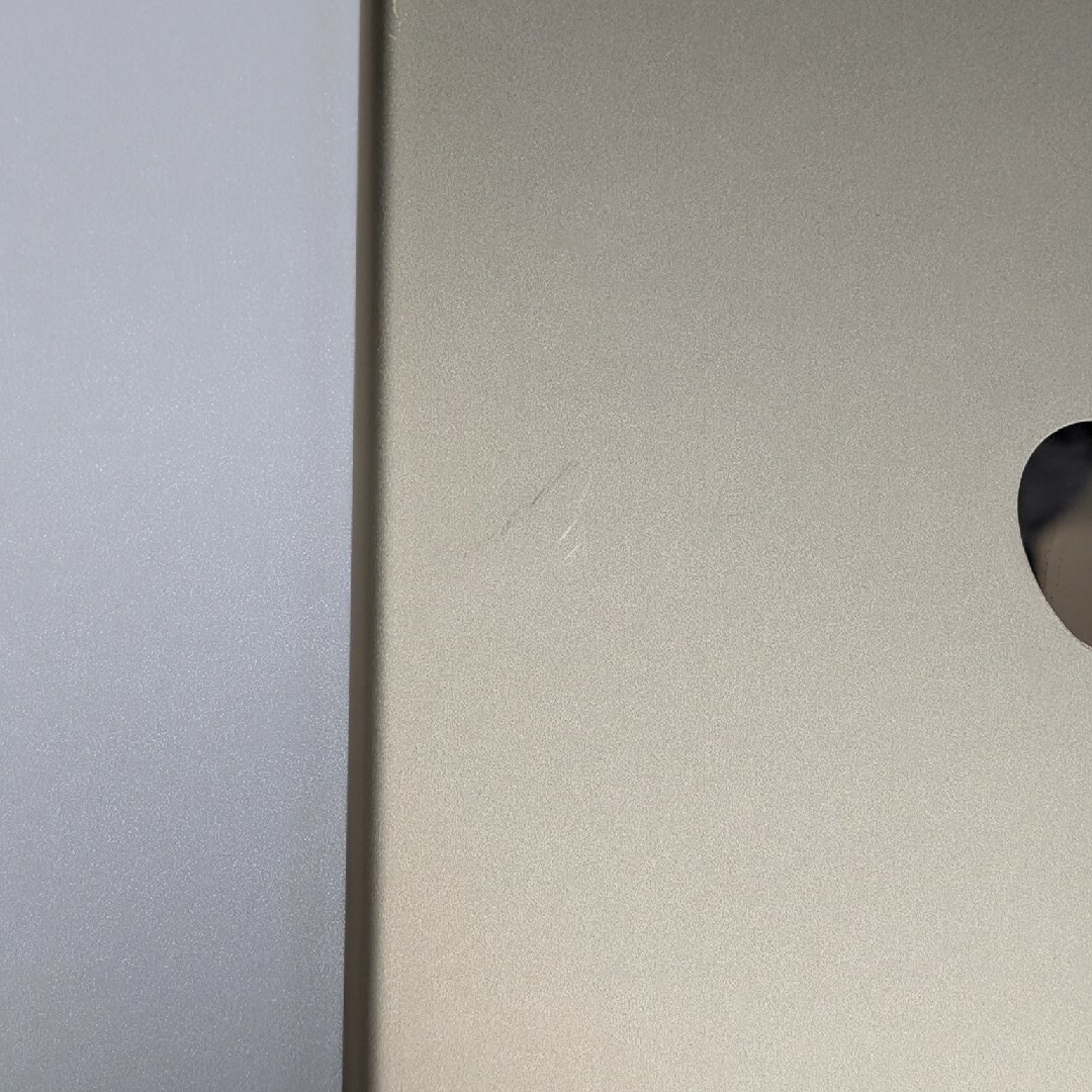 Apple(アップル)のアップル iPad Pro 10.5 インチ 256GB ゴールド SIMフリー スマホ/家電/カメラのPC/タブレット(タブレット)の商品写真