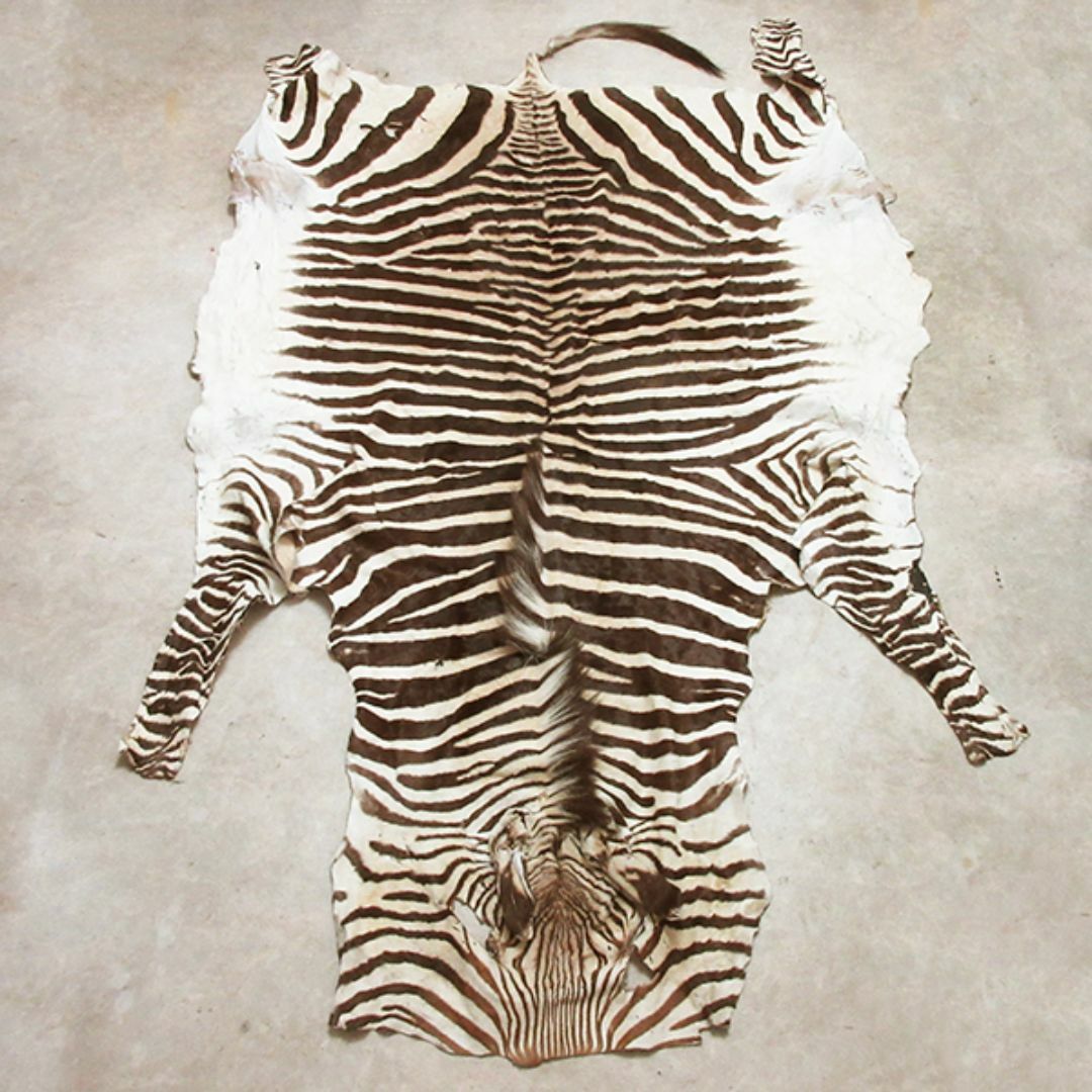 200×138.5cm ゼブラ ラグ マット 敷物 本革 毛皮 シマウマ