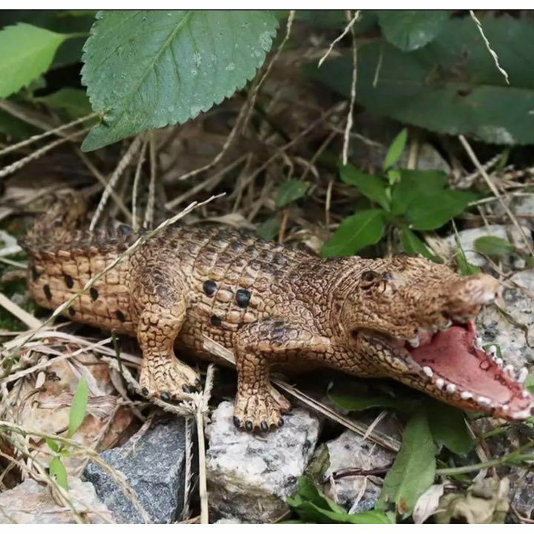 ✨新品未使用✨】ワニフィギュア リアルコレクションモデル 動物 ✨新品未使用✨】ワニフィギュア リアルコレクションモデル 動物