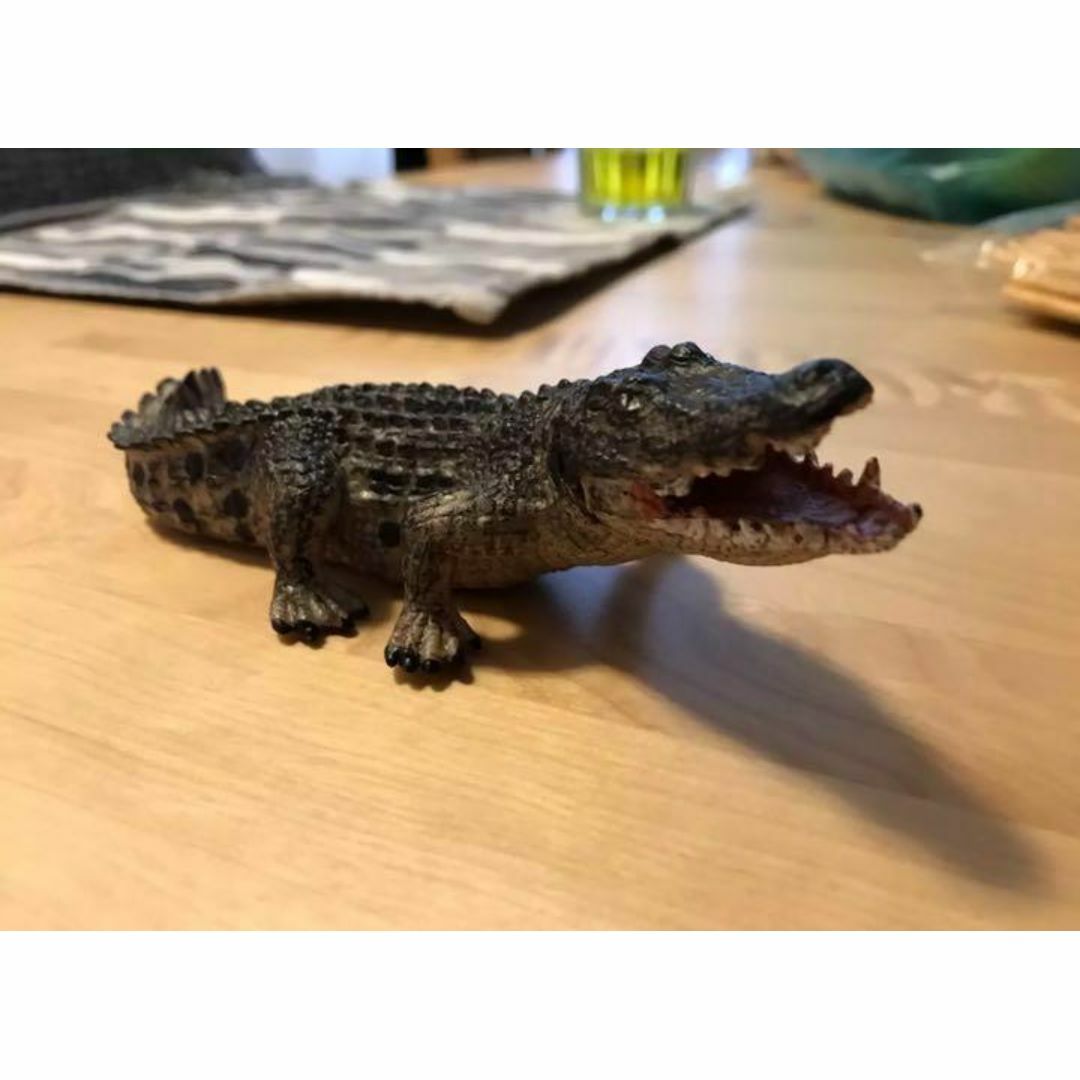 ✨新品未使用✨】ワニフィギュア リアルコレクションモデル 動物 ✨新品未使用✨】ワニフィギュア リアルコレクションモデル 動物
