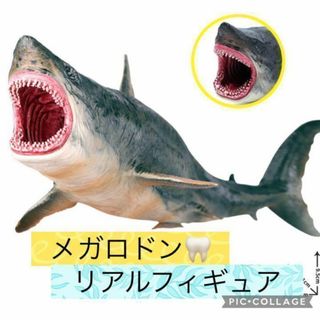 【✨新品未使用✨】メガロドン フィギュア リアル コレクション 魚介 観賞用(その他)