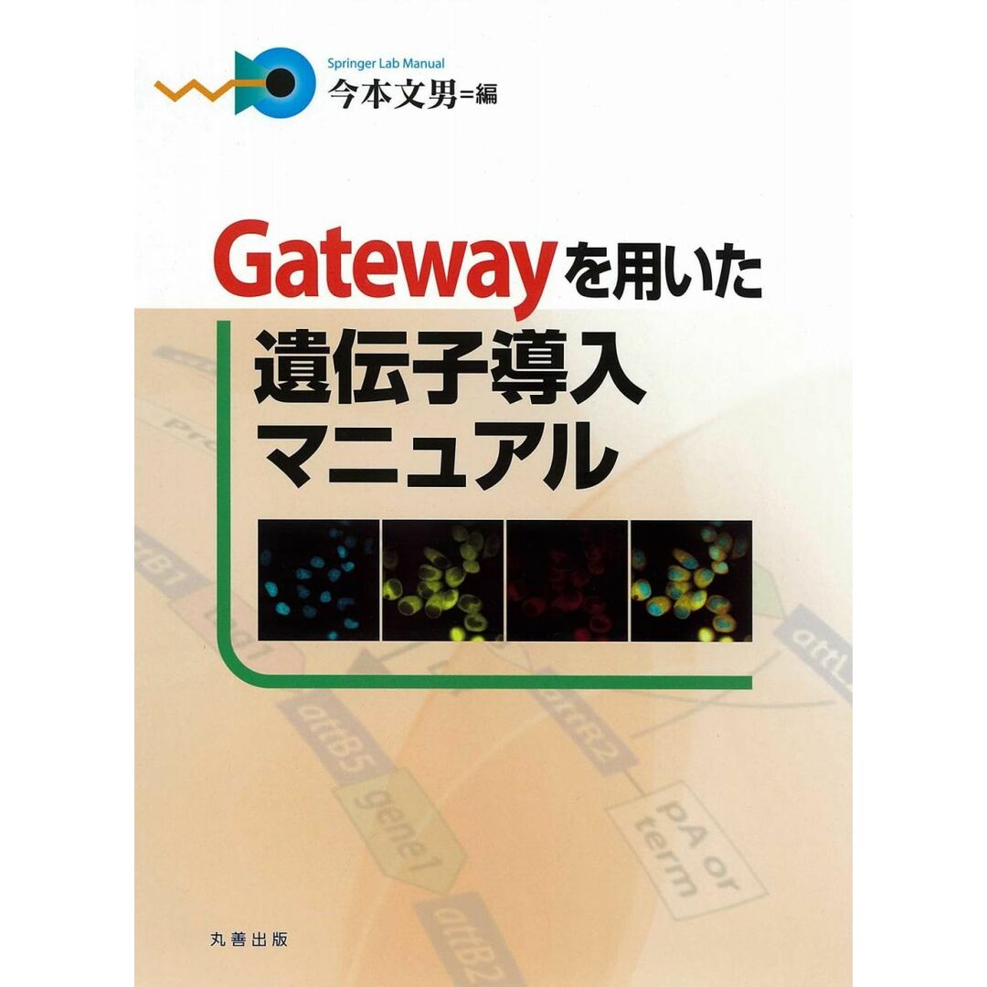 納得できる割引 (Springer Gatewayを用いた遺伝子導入マニュアル Lab 文男 今本 Manual) 語学+参考書