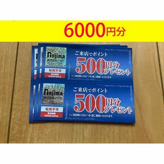 ノジマ　株主優待　来店ポイント　6000ポイント　匿名発送(ショッピング)