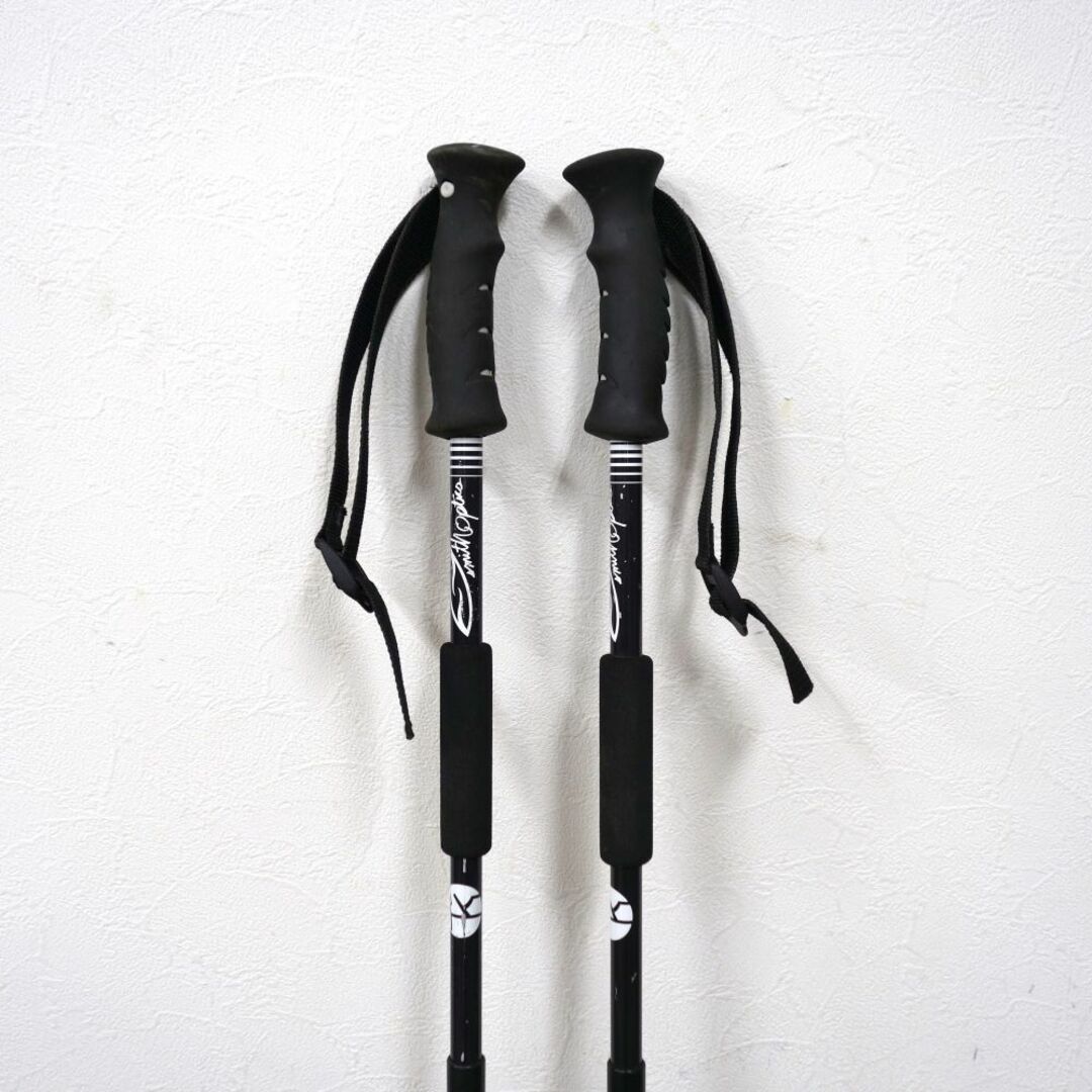 スミス SMITH スキーストック 100-125cm ポール 伸縮式 バック スミス SMITH スキーストック 100-125cm ポール 伸縮式 バック
