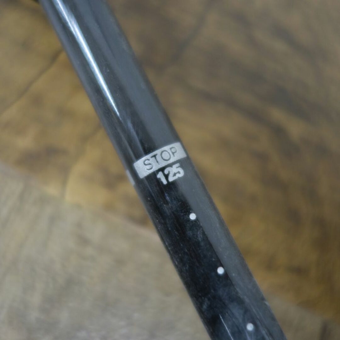スミス SMITH スキーストック 100-125cm ポール 伸縮式 バック スミス SMITH スキーストック 100-125cm ポール 伸縮式 バック