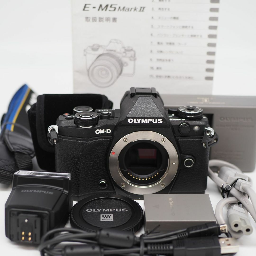 □シャッター数7998【ほぼ新品】Canon 行き着く EOS 6D MarkII □シャッター数7998【ほぼ新品】Canon 行き着く EOS 6D MarkII