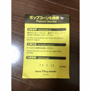 ディズニーランド/ディズニーシー 1dayペアパスポートチケット ディズニーランド/ディズニーシー 1dayペアパスポートチケット