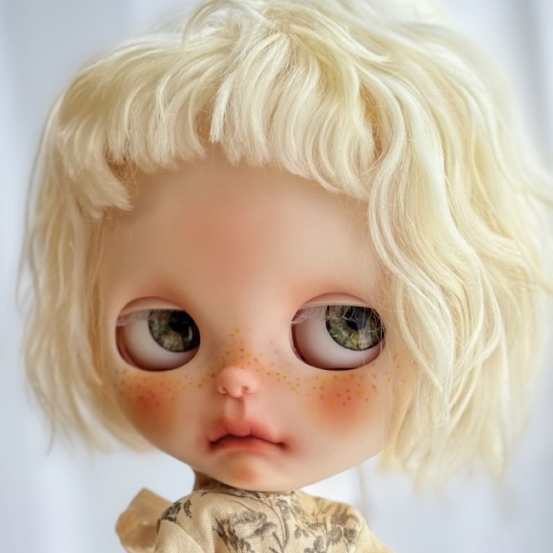 作家様◇カスタムブライス◇美品 作家様◇カスタムブライス◇美品