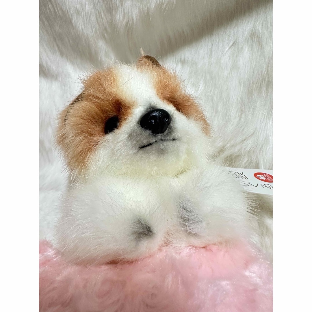 ☆童心☆日本製高級ぬいぐるみ☆パピヨン 這い☆廃盤 レア☆未使用 ☆童心☆日本製高級ぬいぐるみ☆パピヨン 這い☆廃盤 レア☆未使用