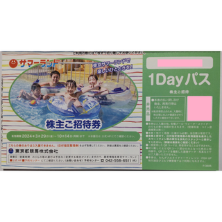 【同梱専用】東京サマーランド 株主優待券 1枚 2024年10月期限(プール)