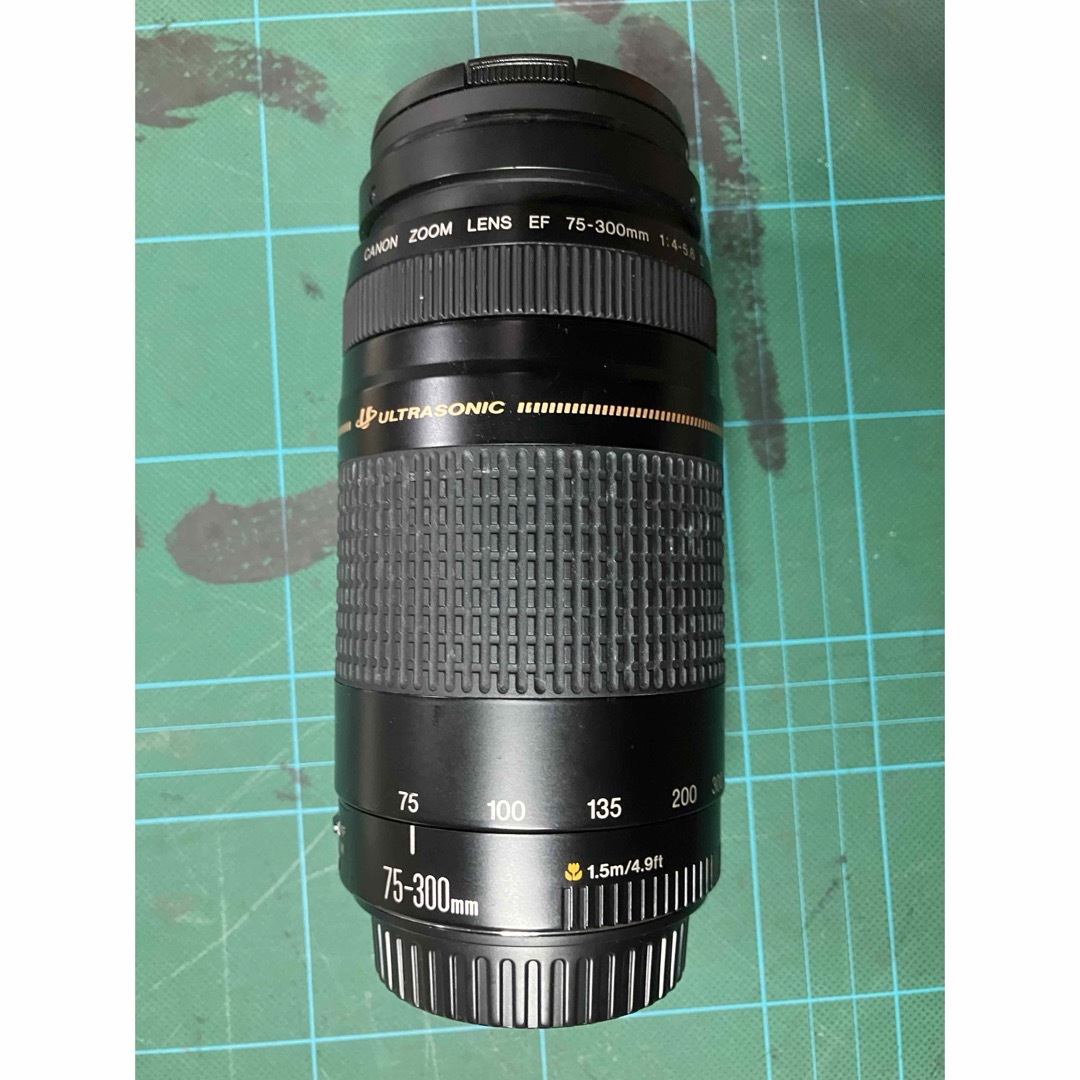 Canon EFレンズ EF75-300mm F4-5.6 IIIズームレンズ Canon EFレンズ EF75-300mm F4-5.6 IIIズームレンズ