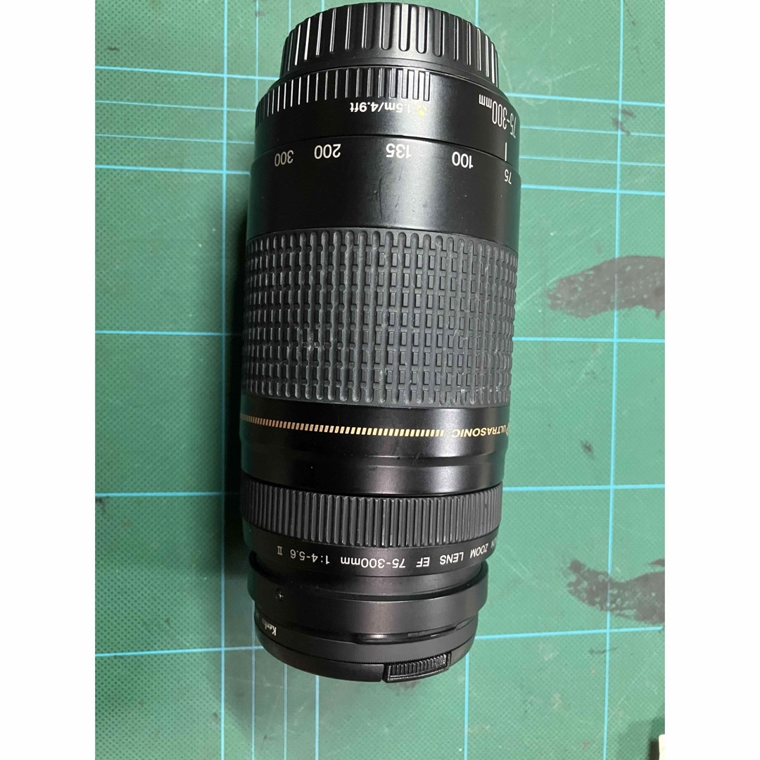 Canon EFレンズ EF75-300mm F4-5.6 IIIズームレンズ Canon EFレンズ EF75-300mm F4-5.6 IIIズームレンズ