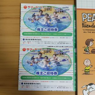 サマーランド　株主ご招待券　2枚(プール)