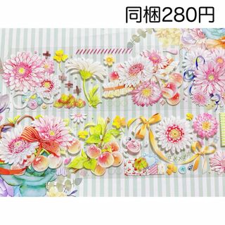 【cat knows all】初秋午后 pet 切り売り 海外マステ(テープ/マスキングテープ)