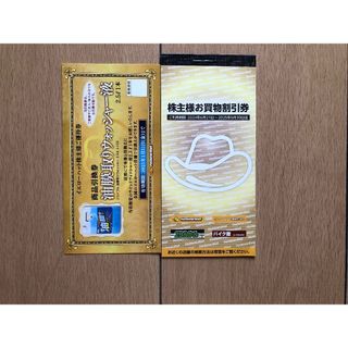 イエローハット、2りんかん割引券3000円分＋ウォッシャー液券　株主優待(ショッピング)