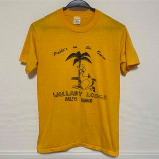 アメリカ製　70's Sport-T by STEDMAN ビンテージTシャツ(Tシャツ/カットソー(半袖/袖なし))